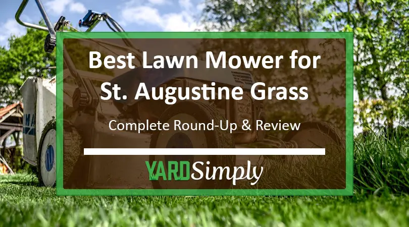 Best Lawn Mower for St. Augustine Grass