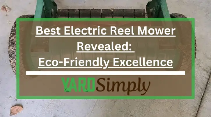 Best Electric Reel Mower Revealed: Eco-Friendly Excellence