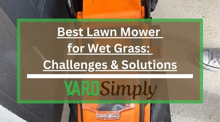 Best Lawn Mower for Wet Grass: Challenges & Solutions