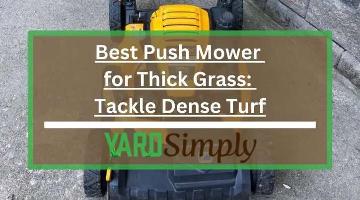 Best Push Mower for Thick Grass: Tackle Dense Turf