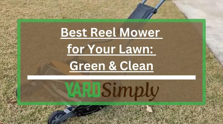 Best Reel Mower for Your Lawn: Green & Clean