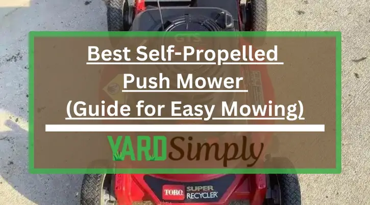 Best Self-Propelled Push Mower (Guide for Easy Mowing)