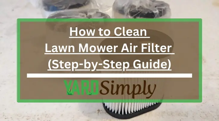 How to Clean Lawn Mower Air Filter (Step-by-Step Guide)
