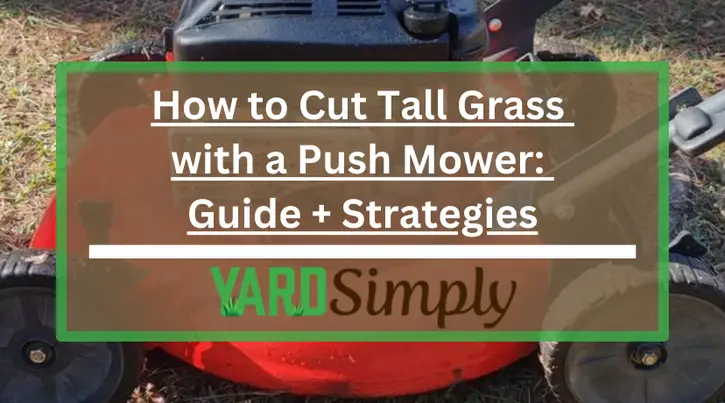 How to Cut Tall Grass with a Push Mower: Guide + Strategies