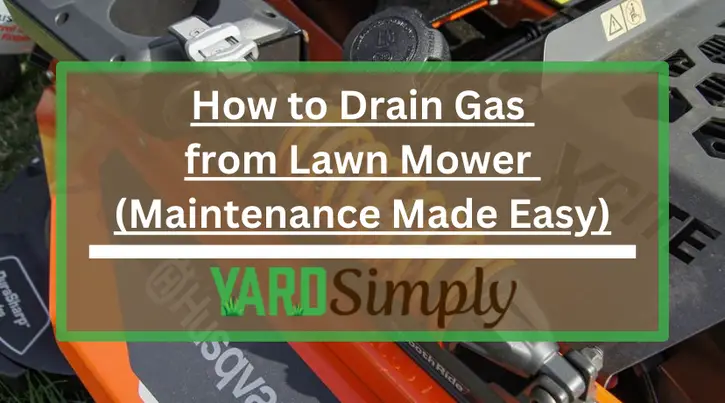 How to Drain Gas from Lawn Mower (Maintenance Made Easy)