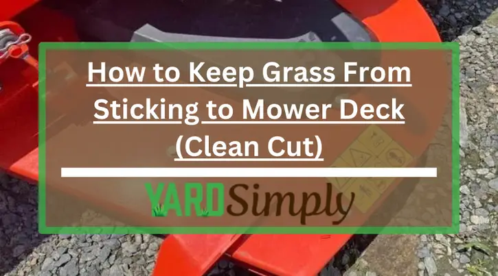How to Keep Grass From Sticking to Mower Deck (Clean Cut)
