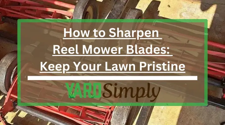 How to Sharpen Reel Mower Blades: Keep Your Lawn Pristine