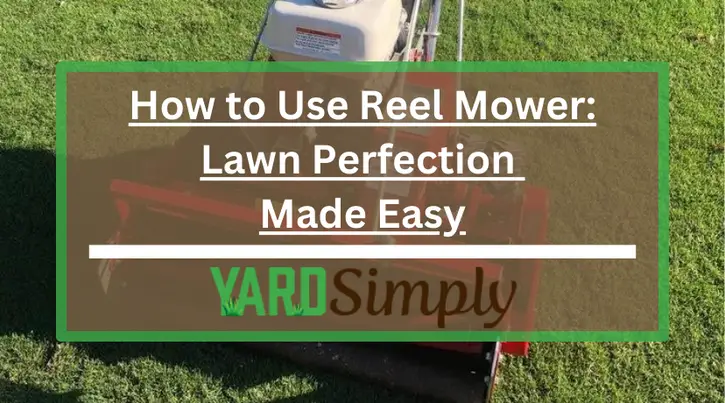 How to Use Reel Mower: Lawn Perfection Made Easy
